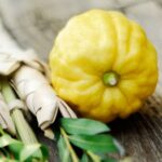 Sukkot Lulav and Etrog